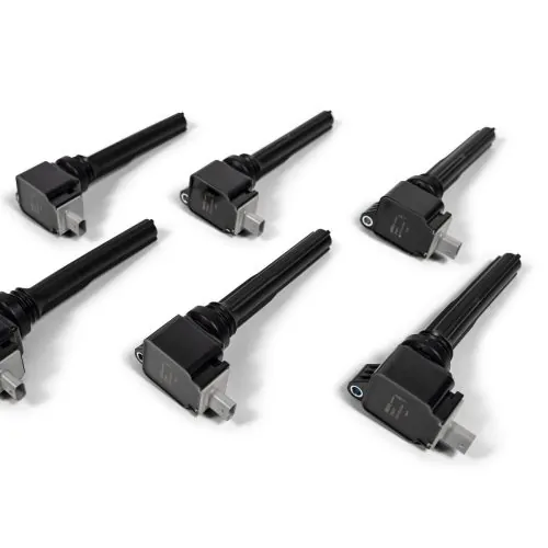 BorgWarner BERU 2018-2020 3.5L Ecoboost Ignition Coils – SOLD INDIVIDUALLY